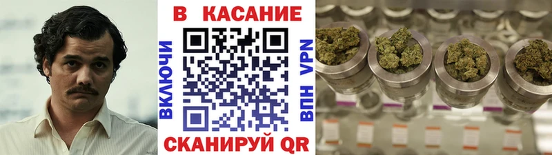 Где купить наркотики Боровск Галлюциногенные грибы  Мефедрон  Гашиш  Каннабис  Кокаин  A PVP  Амфетамин 