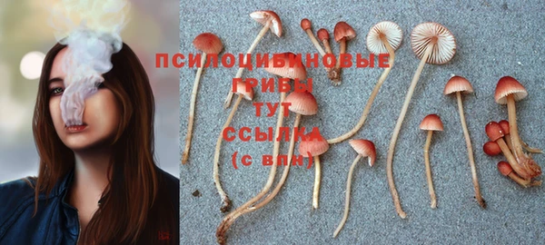 прущие грибы Белоозёрский