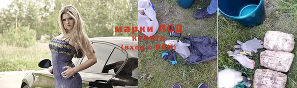 прущие грибы Белоозёрский