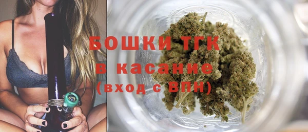прущие грибы Белоозёрский