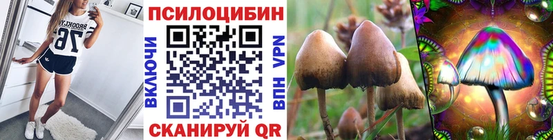 Галлюциногенные грибы Psilocybine cubensis  Боровск 